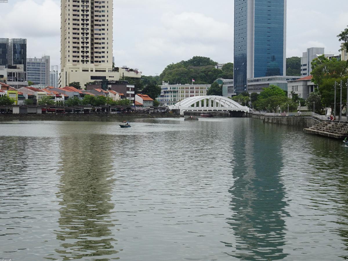 Luxury Singapore condominium